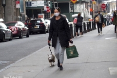December 13,2020  Wall Street in front of the New York Stock Exchange residents and tourists visit the Fearless Girl statue and take photographs by the Stock exchange Christmas tree.
