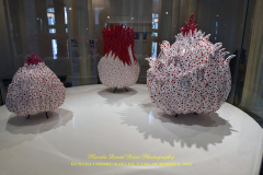 KUSAMA: COSMIC NATURE
Saturday, April 10 – Sunday, October 31, 2021
Final Weeks!
Experience Yayoi Kusama’s profound connection with nature
Contemporary Japanese artist Yayoi Kusama is one of the most popular artists in the world, drawing millions to experience her immersive installations.
Exclusively at NYBG, Kusama reveals her lifelong fascination with the natural world, beginning with her childhood spent in the greenhouses and fields of her family’s seed nursery. Her artistic concepts of obliteration, infinity, and eternity are inspired by her intimate engagement with the colors, patterns, and life cycles of plants and flowers.

Spectacular installations feature Kusama’s multifaceted art, including monumental floral sculptures that transform NYBG’s 250-acre landmark landscape.