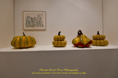 KUSAMA: COSMIC NATURE
Saturday, April 10 – Sunday, October 31, 2021
Final Weeks!
Experience Yayoi Kusama’s profound connection with nature
Contemporary Japanese artist Yayoi Kusama is one of the most popular artists in the world, drawing millions to experience her immersive installations.
Exclusively at NYBG, Kusama reveals her lifelong fascination with the natural world, beginning with her childhood spent in the greenhouses and fields of her family’s seed nursery. Her artistic concepts of obliteration, infinity, and eternity are inspired by her intimate engagement with the colors, patterns, and life cycles of plants and flowers.

Spectacular installations feature Kusama’s multifaceted art, including monumental floral sculptures that transform NYBG’s 250-acre landmark landscape.