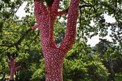 KUSAMA: COSMIC NATURE
Saturday, April 10 – Sunday, October 31, 2021
Final Weeks!
Experience Yayoi Kusama’s profound connection with nature
Contemporary Japanese artist Yayoi Kusama is one of the most popular artists in the world, drawing millions to experience her immersive installations.
Exclusively at NYBG, Kusama reveals her lifelong fascination with the natural world, beginning with her childhood spent in the greenhouses and fields of her family’s seed nursery. Her artistic concepts of obliteration, infinity, and eternity are inspired by her intimate engagement with the colors, patterns, and life cycles of plants and flowers.

Spectacular installations feature Kusama’s multifaceted art, including monumental floral sculptures that transform NYBG’s 250-acre landmark landscape.
