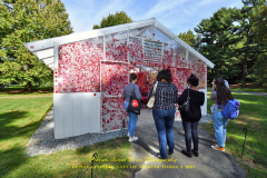 KUSAMA: COSMIC NATURE
Saturday, April 10 – Sunday, October 31, 2021
Final Weeks!
Experience Yayoi Kusama’s profound connection with nature
Contemporary Japanese artist Yayoi Kusama is one of the most popular artists in the world, drawing millions to experience her immersive installations.
Exclusively at NYBG, Kusama reveals her lifelong fascination with the natural world, beginning with her childhood spent in the greenhouses and fields of her family’s seed nursery. Her artistic concepts of obliteration, infinity, and eternity are inspired by her intimate engagement with the colors, patterns, and life cycles of plants and flowers.

Spectacular installations feature Kusama’s multifaceted art, including monumental floral sculptures that transform NYBG’s 250-acre landmark landscape.
