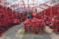 KUSAMA: COSMIC NATURE
Saturday, April 10 – Sunday, October 31, 2021
Final Weeks!
Experience Yayoi Kusama’s profound connection with nature
Contemporary Japanese artist Yayoi Kusama is one of the most popular artists in the world, drawing millions to experience her immersive installations.
Exclusively at NYBG, Kusama reveals her lifelong fascination with the natural world, beginning with her childhood spent in the greenhouses and fields of her family’s seed nursery. Her artistic concepts of obliteration, infinity, and eternity are inspired by her intimate engagement with the colors, patterns, and life cycles of plants and flowers.

Spectacular installations feature Kusama’s multifaceted art, including monumental floral sculptures that transform NYBG’s 250-acre landmark landscape.