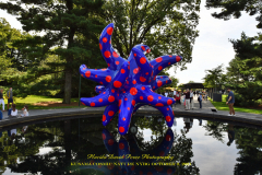 KUSAMA: COSMIC NATURE
Saturday, April 10 – Sunday, October 31, 2021
Final Weeks!
Experience Yayoi Kusama’s profound connection with nature
Contemporary Japanese artist Yayoi Kusama is one of the most popular artists in the world, drawing millions to experience her immersive installations.
Exclusively at NYBG, Kusama reveals her lifelong fascination with the natural world, beginning with her childhood spent in the greenhouses and fields of her family’s seed nursery. Her artistic concepts of obliteration, infinity, and eternity are inspired by her intimate engagement with the colors, patterns, and life cycles of plants and flowers.

Spectacular installations feature Kusama’s multifaceted art, including monumental floral sculptures that transform NYBG’s 250-acre landmark landscape.