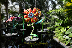 KUSAMA: COSMIC NATURE
Saturday, April 10 – Sunday, October 31, 2021
Final Weeks!
Experience Yayoi Kusama’s profound connection with nature
Contemporary Japanese artist Yayoi Kusama is one of the most popular artists in the world, drawing millions to experience her immersive installations.
Exclusively at NYBG, Kusama reveals her lifelong fascination with the natural world, beginning with her childhood spent in the greenhouses and fields of her family’s seed nursery. Her artistic concepts of obliteration, infinity, and eternity are inspired by her intimate engagement with the colors, patterns, and life cycles of plants and flowers.

Spectacular installations feature Kusama’s multifaceted art, including monumental floral sculptures that transform NYBG’s 250-acre landmark landscape.