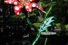 KUSAMA: COSMIC NATURE
Saturday, April 10 – Sunday, October 31, 2021
Final Weeks!
Experience Yayoi Kusama’s profound connection with nature
Contemporary Japanese artist Yayoi Kusama is one of the most popular artists in the world, drawing millions to experience her immersive installations.
Exclusively at NYBG, Kusama reveals her lifelong fascination with the natural world, beginning with her childhood spent in the greenhouses and fields of her family’s seed nursery. Her artistic concepts of obliteration, infinity, and eternity are inspired by her intimate engagement with the colors, patterns, and life cycles of plants and flowers.

Spectacular installations feature Kusama’s multifaceted art, including monumental floral sculptures that transform NYBG’s 250-acre landmark landscape.