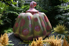 KUSAMA: COSMIC NATURE
Saturday, April 10 – Sunday, October 31, 2021
Final Weeks!
Experience Yayoi Kusama’s profound connection with nature
Contemporary Japanese artist Yayoi Kusama is one of the most popular artists in the world, drawing millions to experience her immersive installations.
Exclusively at NYBG, Kusama reveals her lifelong fascination with the natural world, beginning with her childhood spent in the greenhouses and fields of her family’s seed nursery. Her artistic concepts of obliteration, infinity, and eternity are inspired by her intimate engagement with the colors, patterns, and life cycles of plants and flowers.

Spectacular installations feature Kusama’s multifaceted art, including monumental floral sculptures that transform NYBG’s 250-acre landmark landscape.