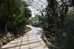 KUSAMA: COSMIC NATURE
Saturday, April 10 – Sunday, October 31, 2021
Final Weeks!
Experience Yayoi Kusama’s profound connection with nature
Contemporary Japanese artist Yayoi Kusama is one of the most popular artists in the world, drawing millions to experience her immersive installations.
Exclusively at NYBG, Kusama reveals her lifelong fascination with the natural world, beginning with her childhood spent in the greenhouses and fields of her family’s seed nursery. Her artistic concepts of obliteration, infinity, and eternity are inspired by her intimate engagement with the colors, patterns, and life cycles of plants and flowers.

Spectacular installations feature Kusama’s multifaceted art, including monumental floral sculptures that transform NYBG’s 250-acre landmark landscape.