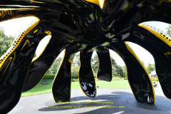 KUSAMA: COSMIC NATURE
Saturday, April 10 – Sunday, October 31, 2021
Final Weeks!
Experience Yayoi Kusama’s profound connection with nature
Contemporary Japanese artist Yayoi Kusama is one of the most popular artists in the world, drawing millions to experience her immersive installations.
Exclusively at NYBG, Kusama reveals her lifelong fascination with the natural world, beginning with her childhood spent in the greenhouses and fields of her family’s seed nursery. Her artistic concepts of obliteration, infinity, and eternity are inspired by her intimate engagement with the colors, patterns, and life cycles of plants and flowers.

Spectacular installations feature Kusama’s multifaceted art, including monumental floral sculptures that transform NYBG’s 250-acre landmark landscape.