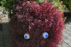 KUSAMA: COSMIC NATURE
Saturday, April 10 – Sunday, October 31, 2021
Final Weeks!
Experience Yayoi Kusama’s profound connection with nature
Contemporary Japanese artist Yayoi Kusama is one of the most popular artists in the world, drawing millions to experience her immersive installations.
Exclusively at NYBG, Kusama reveals her lifelong fascination with the natural world, beginning with her childhood spent in the greenhouses and fields of her family’s seed nursery. Her artistic concepts of obliteration, infinity, and eternity are inspired by her intimate engagement with the colors, patterns, and life cycles of plants and flowers.

Spectacular installations feature Kusama’s multifaceted art, including monumental floral sculptures that transform NYBG’s 250-acre landmark landscape.