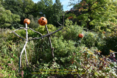 KUSAMA: COSMIC NATURE
Saturday, April 10 – Sunday, October 31, 2021
Final Weeks!
Experience Yayoi Kusama’s profound connection with nature
Contemporary Japanese artist Yayoi Kusama is one of the most popular artists in the world, drawing millions to experience her immersive installations.
Exclusively at NYBG, Kusama reveals her lifelong fascination with the natural world, beginning with her childhood spent in the greenhouses and fields of her family’s seed nursery. Her artistic concepts of obliteration, infinity, and eternity are inspired by her intimate engagement with the colors, patterns, and life cycles of plants and flowers.

Spectacular installations feature Kusama’s multifaceted art, including monumental floral sculptures that transform NYBG’s 250-acre landmark landscape.