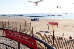 December 27 , 2020     Coney Island Polar Bears go for their weekly swim. The outside Temperature was 25 degrees and the water temperature was 47 degrees.