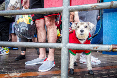 The Polar Bear Plunge commenced after a two year hiatus. An overcast and chilly day, spectators and participants took to the beach to keep on the ol’ tradition that kick starts many peoples’ year with a shock awakening of the senses. Brooklyn, NYC, NY. 01.01.22 (C) Bianca Otero