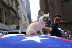 The 65 National Puerto Rican Day Parade is celebrated by thousands who marched and cheered on along 5th avenue in Manhattan New York on Sunday, June 12, 2022 The 2022 Parade was dedicated to the municipality of Cidra, Puerto Rico. Known as the Pueblo de la Eterna Primavera (Town of Eternal Spring), Cidra is located in the central, mountainous region of the island.

Photography by Enid B. Alvarez