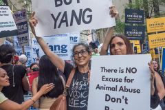People against Andrew Yang at a rally for the final Mayoral debate before Election Day outside 30 Rockefeller Center in New York City