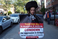 New York- Pro- Palestine Rally held in Bay Ridge section of Brooklyn
