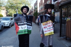 New York- Pro- Palestine Rally held in Bay Ridge section of Brooklyn