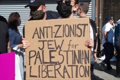New York- Pro- Palestine Rally held in Bay Ridge section of Brooklyn