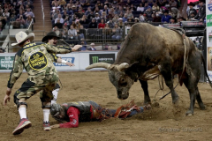 A bull named Total Feeds Bushwacked bears down on bull rider Silvano Alves while competing in the Professional Bull Riders (PBR) Unleash The Beast Monster Energy Buckoff at the Garden inside Madison Square Garden in New York City on January 8, 2022. (Photo by Andrew Schwartz)