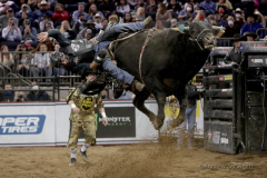 Rafael Henrique dos Santos rides a bull named Viper while competing in the Professional Bull Riders (PBR) Unleash The Beast Monster Energy Buckoff at the Garden inside Madison Square Garden in New York City on January 8, 2022. (Photo by Andrew Schwartz)