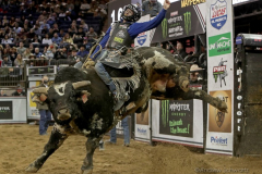 Mason Taylor rides a bull named American Gangster while competing in the Professional Bull Riders (PBR) Unleash The Beast Monster Energy Buckoff at the Garden inside Madison Square Garden in New York City on January 8, 2022. (Photo by Andrew Schwartz)