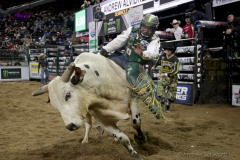 Andrew Alvidrez rides a bull named Zorro while competing in the Professional Bull Riders (PBR) Unleash The Beast Monster Energy Buckoff at the Garden inside Madison Square Garden in New York City on January 8, 2022. (Photo by Andrew Schwartz)