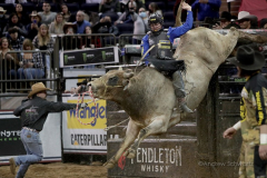Austin Richardson rides a bull named Ridin Solo while competing in the Professional Bull Riders (PBR) Unleash The Beast Monster Energy Buckoff at the Garden inside Madison Square Garden in New York City on January 8, 2022.  (Photo by Andrew Schwartz)