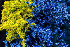 Thousands of all nationalities came together to protest the Ukrainian War in Times Square from noon well into the afternoon. Saturday, March 5, 2022. (C) Bianca Otero