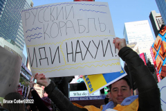 February 26, 2022  New York, 
Pro Ukrainian protest  at the crossroads of the world in New York City. Protestors gathered to support the  people of the Ukraine.