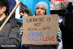 February 26, 2022  New York, 
Pro Ukrainian protest  at the crossroads of the world in New York City. Protestors gathered to support the  people of the Ukraine.