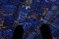 A guest capturing artsy photos on the ride and enjoying the view of New York City. Located at 60 W 45th St on 29 Jan 2022.