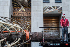 The Rockefeller Christmas Tree arrived at Rockefeller Plaza, Manhattan, NYC on the morning of November 13, 2021. 
Spectators flocked to watch the spectacle as well as those involved in the assembly and press after last year’s event was restricted due to COVID.
The impressive 12 ton and 85 year old tree is a Norway Spruce, donated by the PRICE family from Elkton, Maryland. This is the first Maryland tree that has ever been chosen in this tradition as the Rockefeller Center Tree.
 (C) Bianca Otero. NYC. November 13, 2021.