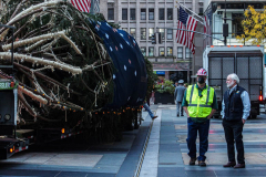 The Rockefeller Christmas Tree arrived at Rockefeller Plaza, Manhattan, NYC on the morning of November 13, 2021. 
Spectators flocked to watch the spectacle as well as those involved in the assembly and press after last year’s event was restricted due to COVID.
The impressive 12 ton and 85 year old tree is a Norway Spruce, donated by the PRICE family from Elkton, Maryland. This is the first Maryland tree that has ever been chosen in this tradition as the Rockefeller Center Tree.
 (C) Bianca Otero. NYC. November 13, 2021.