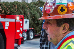 The Rockefeller Christmas Tree arrived at Rockefeller Plaza, Manhattan, NYC on the morning of November 13, 2021. 
Spectators flocked to watch the spectacle as well as those involved in the assembly and press after last year’s event was restricted due to COVID.
The impressive 12 ton and 85 year old tree is a Norway Spruce, donated by the PRICE family from Elkton, Maryland. This is the first Maryland tree that has ever been chosen in this tradition as the Rockefeller Center Tree.
 (C) Bianca Otero. NYC. November 13, 2021.