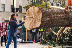 Price Family members and friends of Rockefeller Center each take turns to drive the spike into tree with sledgehammer.
The Rockefeller Christmas Tree arrived at Rockefeller Plaza, Manhattan, NYC on the morning of November 13, 2021. 
Spectators flocked to watch the spectacle as well as those involved in the assembly and press after last year’s event was restricted due to COVID.
The impressive 12 ton and 85 year old tree is a Norway Spruce, donated by the PRICE family from Elkton, Maryland. This is the first Maryland tree that has ever been chosen in this tradition as the Rockefeller Center Tree.
 (C) Bianca Otero. NYC. November 13, 2021.