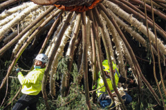 The Rockefeller Christmas Tree arrived at Rockefeller Plaza, Manhattan, NYC on the morning of November 13, 2021. 
Spectators flocked to watch the spectacle as well as those involved in the assembly and press after last year’s event was restricted due to COVID.
The impressive 12 ton and 85 year old tree is a Norway Spruce, donated by the PRICE family from Elkton, Maryland. This is the first Maryland tree that has ever been chosen in this tradition as the Rockefeller Center Tree.
 (C) Bianca Otero. NYC. November 13, 2021.