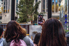The Rockefeller Christmas Tree arrived at Rockefeller Plaza, Manhattan, NYC on the morning of November 13, 2021. 
Spectators flocked to watch the spectacle as well as those involved in the assembly and press after last year’s event was restricted due to COVID.
The impressive 12 ton and 85 year old tree is a Norway Spruce, donated by the PRICE family from Elkton, Maryland. This is the first Maryland tree that has ever been chosen in this tradition as the Rockefeller Center Tree.
 (C) Bianca Otero. NYC. November 13, 2021.
