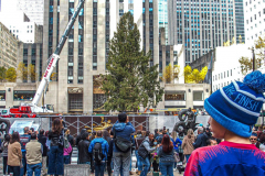 The Rockefeller Christmas Tree arrived at Rockefeller Plaza, Manhattan, NYC on the morning of November 13, 2021. 
Spectators flocked to watch the spectacle as well as those involved in the assembly and press after last year’s event was restricted due to COVID.
The impressive 12 ton and 85 year old tree is a Norway Spruce, donated by the PRICE family from Elkton, Maryland. This is the first Maryland tree that has ever been chosen in this tradition as the Rockefeller Center Tree.
 (C) Bianca Otero. NYC. November 13, 2021.