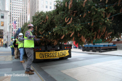 New York, New York City
The arrival of the 79 foot Norway Spruce tree
arrived from Elkton , Maryland  to Rockefeller Center earlier today November 13, 2021 The tree was placed in position and the workers will start to decorate the tree with the lights for the official tree lighting ceremony on December 1, 2021 The 80 year old tree was donated by the price family.