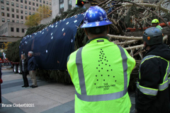New York, New York City
The arrival of the 79 foot Norway Spruce tree
arrived from Elkton , Maryland  to Rockefeller Center earlier today November 13, 2021 The tree was placed in position and the workers will start to decorate the tree with the lights for the official tree lighting ceremony on December 1, 2021 The 80 year old tree was donated by the price family.