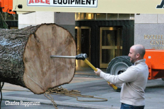New York, New York City
Rockefeller Center Christmas Tree arrives in Manhattan. The Tree is 79 feet high and came from Elkton , Maryland it donated by the Price family.
©Charles Ruppmann 2021