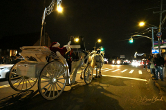 Santa visits Forest Avenue
Forest Avenue BID
Thursday, December 09. 2021
West Brighton
Staten Island, NY
For Credit:  Mary DiBiase Blaich

Santa Claus came to West Brighton on Thursday, December 9, 2021 sponsored by  the Forest Avenue BID.  The concept was to bring cheer to the commercial area.  Santa rode a horse drawn carriage (the reindeer were resting up for Christmas Eve), ran a few red lights and tossed chocolate candy to the many gathered on the sidewalks. Many store windows displayed seasonal decorations.