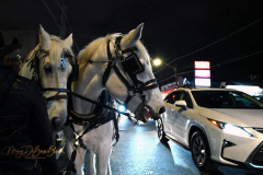 Santa visits Forest Avenue
Forest Avenue BID
Thursday, December 09. 2021
West Brighton
Staten Island, NY
For Credit:  Mary DiBiase Blaich

Santa Claus came to West Brighton on Thursday, December 9, 2021 sponsored by  the Forest Avenue BID.  The concept was to bring cheer to the commercial area.  Santa rode a horse drawn carriage (the reindeer were resting up for Christmas Eve), ran a few red lights and tossed chocolate candy to the many gathered on the sidewalks. Many store windows displayed seasonal decorations.