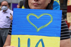 Save Azov Stal March in Times Square on May 14, 2022.