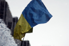 Save Azov Stal March in Times Square on May 14, 2022.