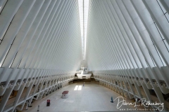 ISO 10014-24mm f2,8 lensF41/125th second