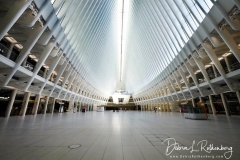 ISO 10014-24mm f2,8 lensF41/125th second