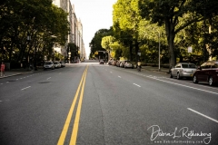 ISO 125Sigma 24-70mm f2.8 lensF2.81/250 second