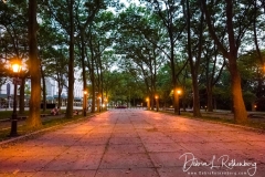 ISO 51,200Sigma 24-70mm f2.8 lens f2,8 lensF41/320th second