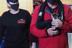 Mayoral Candidate Curtis Sliwa joins his wife and Upper West Side City Council Republican Candidate Nancy Sliwa for Early Voting at the Edward A. Reynolds West Side High School in New York City . They brought along Gizmo, the kitten they are fostering that will soon be up for adoption.