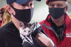 Mayoral Candidate Curtis Sliwa joins his wife and Upper West Side City Council Republican Candidate Nancy Sliwa for Early Voting at the Edward A. Reynolds West Side High School in New York City . They brought along Gizmo, the kitten they are fostering that will soon be up for adoption.